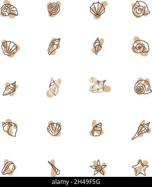Brown seashells, illustration, vector, on a white background. Stock Vector