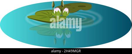Pink lotus attractive water lily vector reflected on the ponds water with leaves and fresh flower buds. Pink water lilies props vector illustration Stock Vector