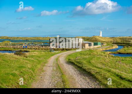 A view of the oyster farm on Walney Island, Barrow-in-Furness, Cumbria, UK Stock Photo