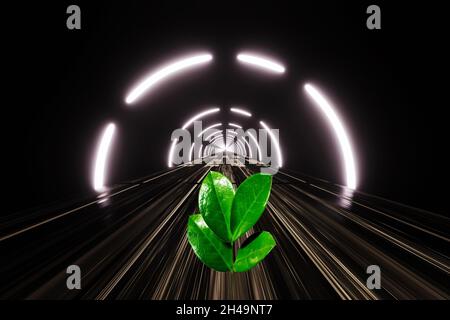 Small young green plant sprout grows through asphalt on high-speed highway. New life, business project concept Stock Photo
