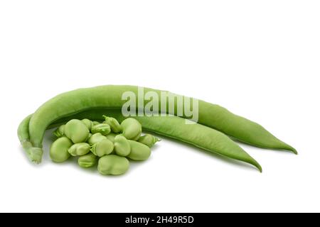Broad beans or fava beans isolated on  white background Stock Photo