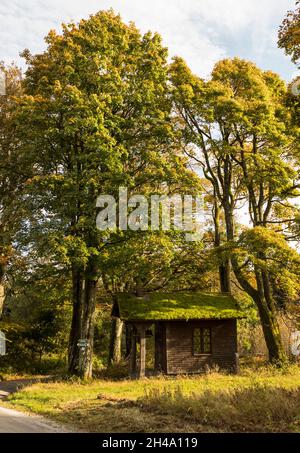 Alte Holzkapelle, Old wooden chapel Stock Photo