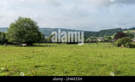 Panoramic view over the Belgian countryside, Ardennes, Belgium Stock Photo