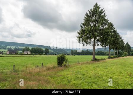 Panoramic view over the Belgian countryside, Ardennes, Belgium Stock Photo