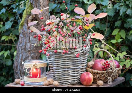bouquet of rose hips and leaves in basket in autumn garden Stock Photo