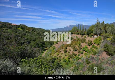Beautiful spring in the Ojai Valley, Ventura CA Stock Photo