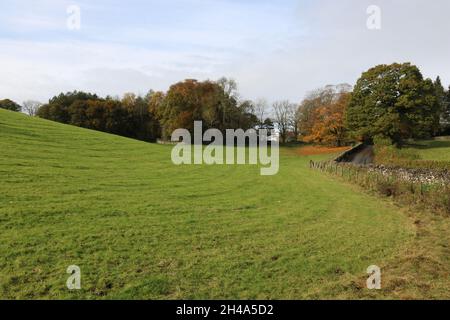Autumn Colours in the English Lake District Stock Photo