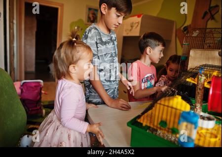 Four children holding their favorite pets on hands. Kids playing with hamster,turtle and parrots at home. Stock Photo