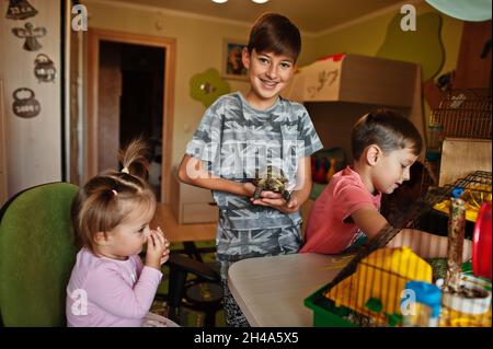 Four children holding their favorite pets on hands. Kids playing with hamster,turtle and parrots at home. Stock Photo