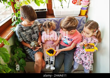 Four children holding their favorite pets on hands. Kids playing with hamster,turtle at home. Stock Photo