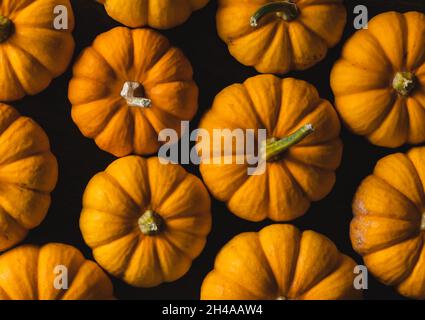 Top View of Many Small Pumpkins on a Dark Background Stock Photo