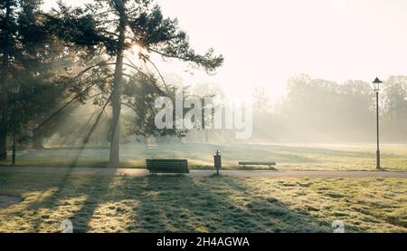 Panorama of city park in the morning with sun shining through a tree Stock Photo