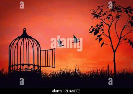 Conceptual scene with birds couple break free from a cage. Freedom and togetherness concept. Birdie released to nature over sunset background. Magical