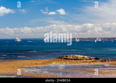 The Tall Ships Leave Melbourne Australia Stock Photo