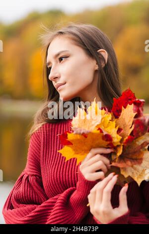 Young asian woman in red jumper holding yellow maple leaves Stock Photo