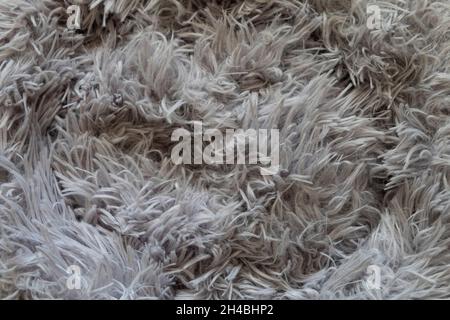 soft plush fluffy fabric texture inside anti-anxiety cat bed Stock Photo
