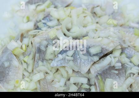 herring with chopped onion closeup selective focus Stock Photo