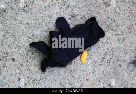 Los Angeles, California, USA 29th October 2021 A general view of atmosphere of discarded glove on street during Coronavirus Covid-19 Pandemic on October 29, 2021 in Los Angeles, California, USA. Photo by Barry King/Alamy Stock Photo Stock Photo