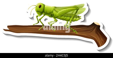 A sticker template with a grasshopper on branch isolated illustration Stock Vector