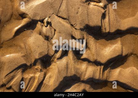The magical secret of the sea. The drawing is written in wet and golden sand or mud. Sand texture. Background as a unique painting created by nature. Stock Photo