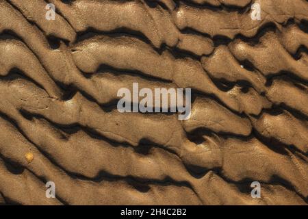 Golden markings and sand formations in wet sea sand. Formed from sea waves and wind. On the left side a small yellow autumn leaf. Stylish and interest Stock Photo