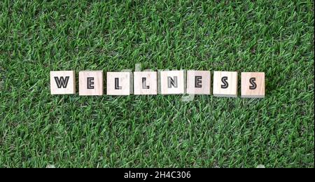 Wellness sign on green grass. Top view. Stock Photo