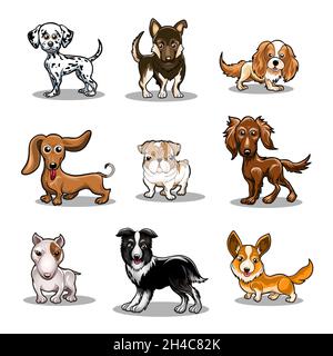 Dogs collection. Funny different breeds dogs in cartoon style. Isolated on white.Vector illustration Stock Vector