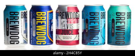 Cans of Scottish Brewdog IPA beers isolated on a white background