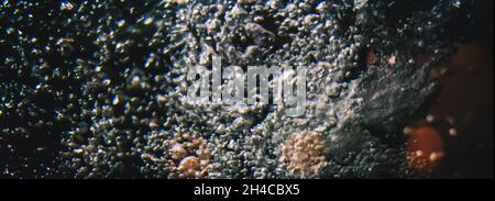 BANNER Abstract Macro real air water bubble glass. Night life style dark blue black depth mystery magic mood space experiment background design. Blue Stock Photo