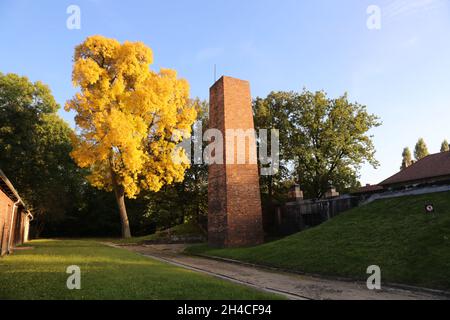 Oswiecim. Poland. Chimney of crematory in Auschwitz-Birkenau, former Nazi death camp in Oswiecim, Poland. Tree in colours of autumn. Stock Photo