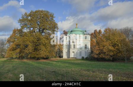 Bäume, Belvedere im Schlossgarten, Schloßpark Charlottenburg, Berlin, Deutschland Stock Photo