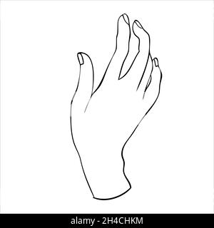 Linear silhouette of an elegant female or witch hand. Stock Vector