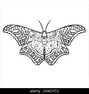 Night butterfly, moths. Hand drawn vector illustration.  Stock Vector