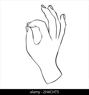 Linear silhouette of an elegant female or witch hand. Stock Vector