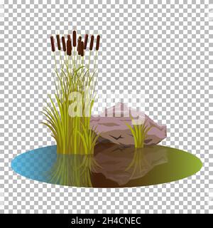 Vector cattails in the pond with bush reeds at autumn colors and mood, with stone, close the water. Attractive Reeds stern and stone aside, reflected Stock Vector