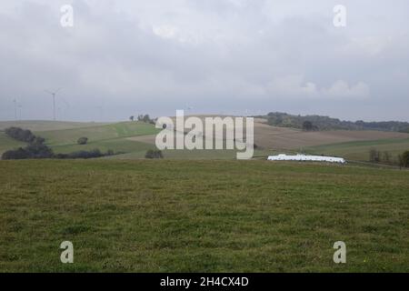 nordic walking at the Palatinate Forest, Germany, Rhineland-Palatinate ...