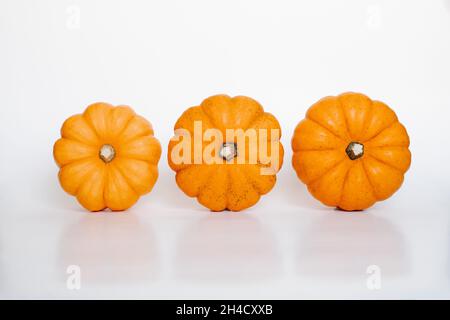 three small orange pumpkins on white isolated background on the side top view. Halloween and Thanksgiving autumn concept Stock Photo