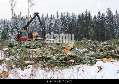 Working forwarder with logs hanging in the crane in the winter Stock Photo