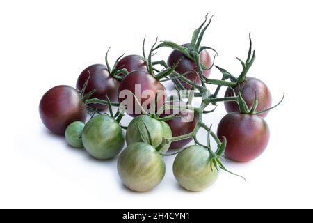 Fresh  black cherry tomatoes isolated on white Stock Photo