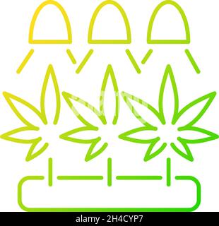 Cannabis cultivation gradient linear vector icon Stock Vector