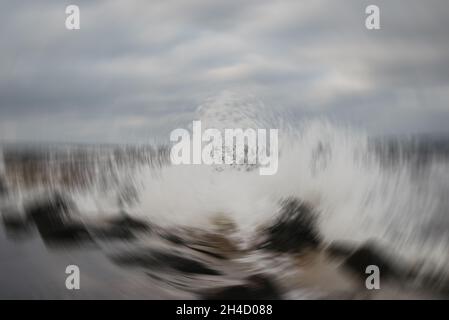 abstract blur background. winter colors of nature Stock Photo