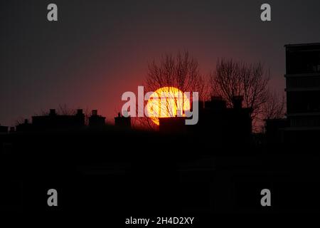 Summer sun setting behind the trees Stock Photo