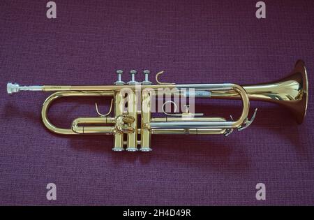 A Brass Trumpet on Purple Coach Stock Photo