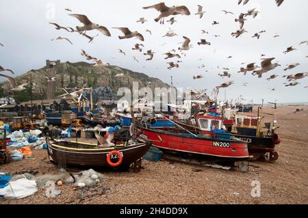 Hastings fishing boats on The Stade (Saxon for landing place). Hastings is Britain’s oldest, and Europe’s largest, beach-launched fishing Stock Photo