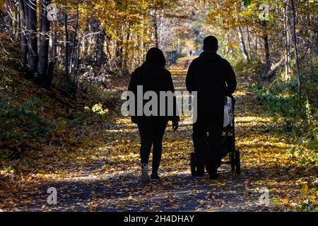 The silhouettes of a woman with a man pushing a baby stroller on the way in autumn nature. Stock Photo