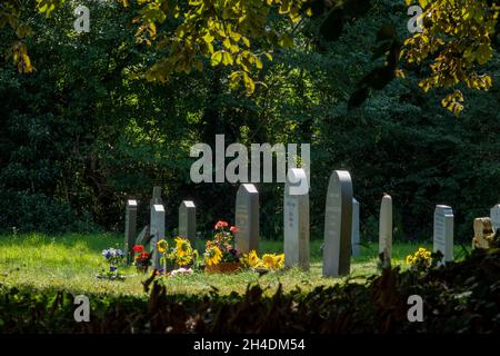 Graves seen in pocket of bright sunshine backlit from under the shade of a tree in full leaf at St Lawrence Church Knodishall, Suffolk Stock Photo