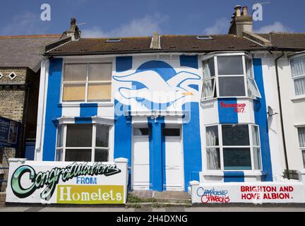 A house in Viaduct Road, Brighton, has been painted with the