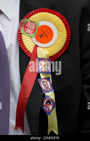 A Labour supporter wears badges supporting the party during the launch of the party's manifesto by Leader of the Labour Party, Jeremy Corbyn Stock Photo