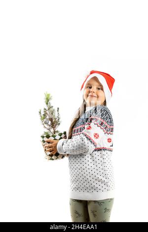 six-year-old Caucasian girl in white Christmas sweater with reindeer and Santa Claus hat holding small Christmas tree in pot, isolated on white Stock Photo