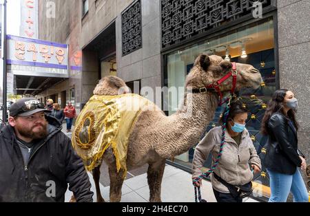 New York, USA. 02nd Nov, 2021. Animals appearing in the annual 'Christmas Spectacular Starring the Radio City Rockettes' are walked to be blessed by US Cardinal Timothy Cardinal Dolan, the Archbishop of New York, at Radio City Music Hall. The show, which runs from 05 November 2021 until 02 January 2022, features the animals in a live nativity scene, which has been a feature of the Christmas show at Radio City since it began in 1933, though the show was cancelled in 2020 due to the coronavirus pandemic. Credit: Abaca Press/Alamy Live News Stock Photo